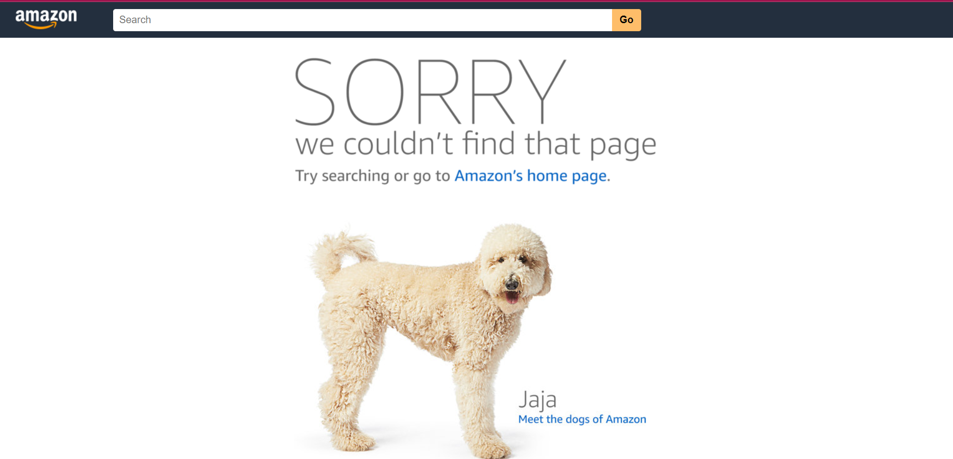 Página 404 da Amazon